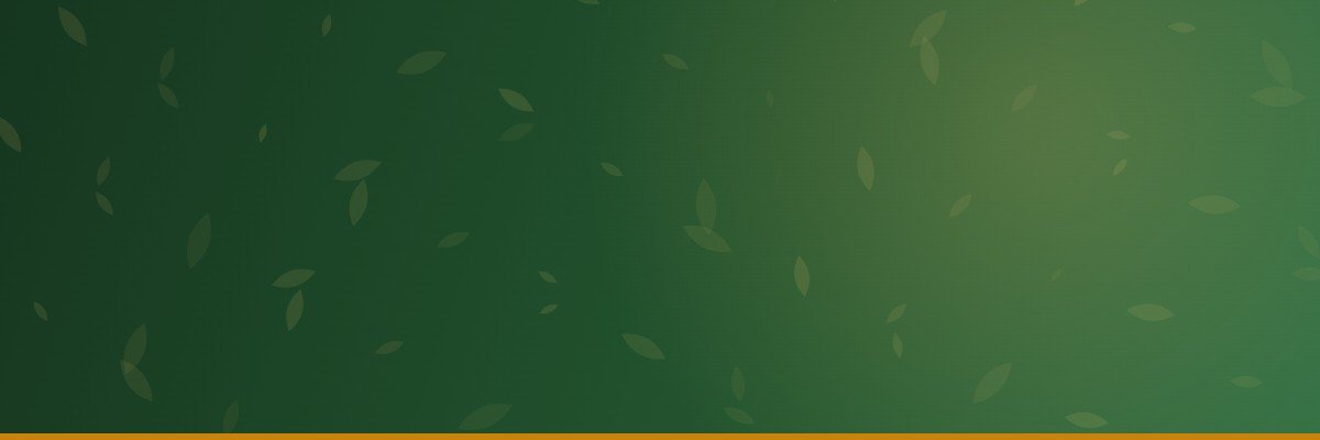 Sanika Enterprise